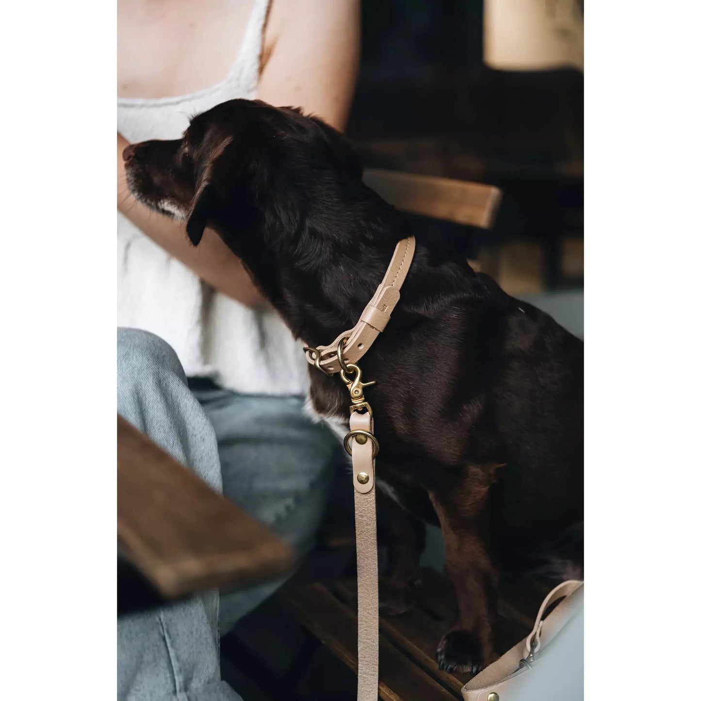 Hundehalsband Fir Air