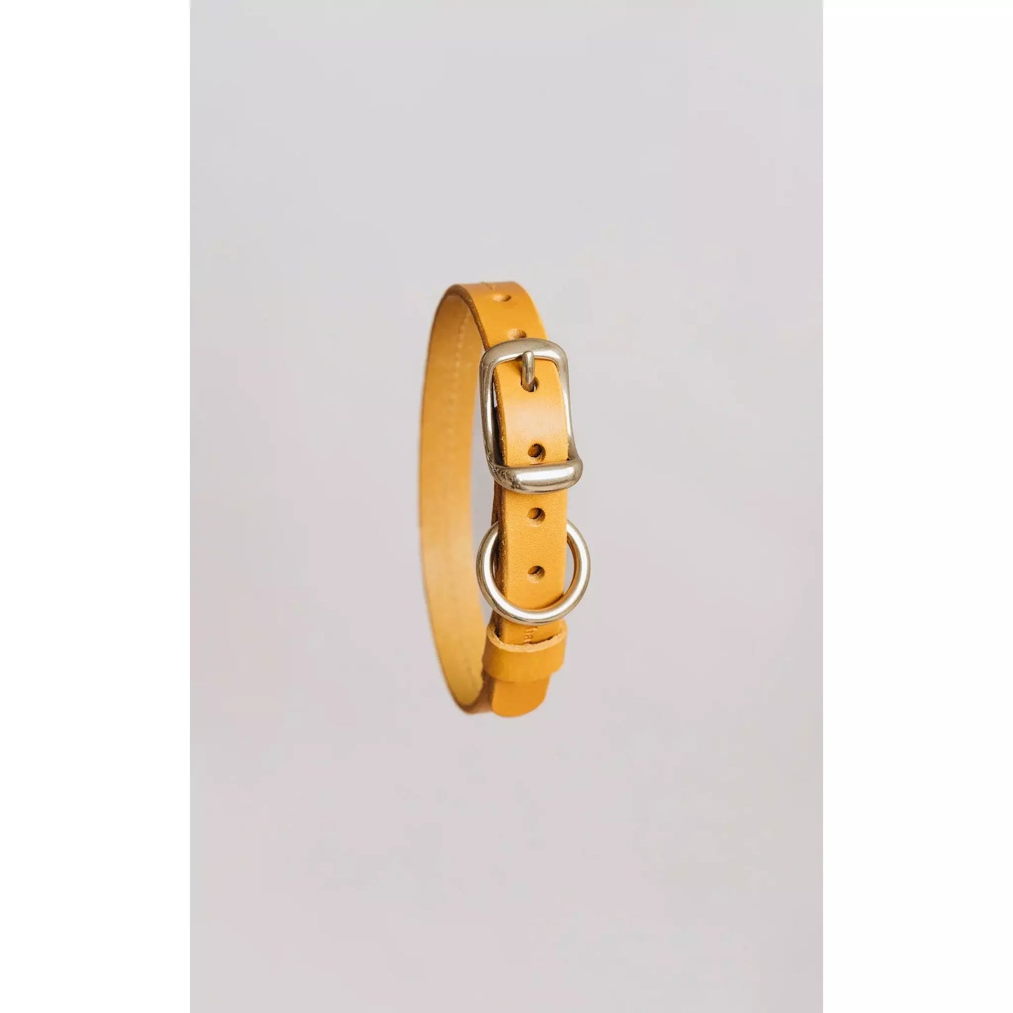 Hundehalsband Fir Air