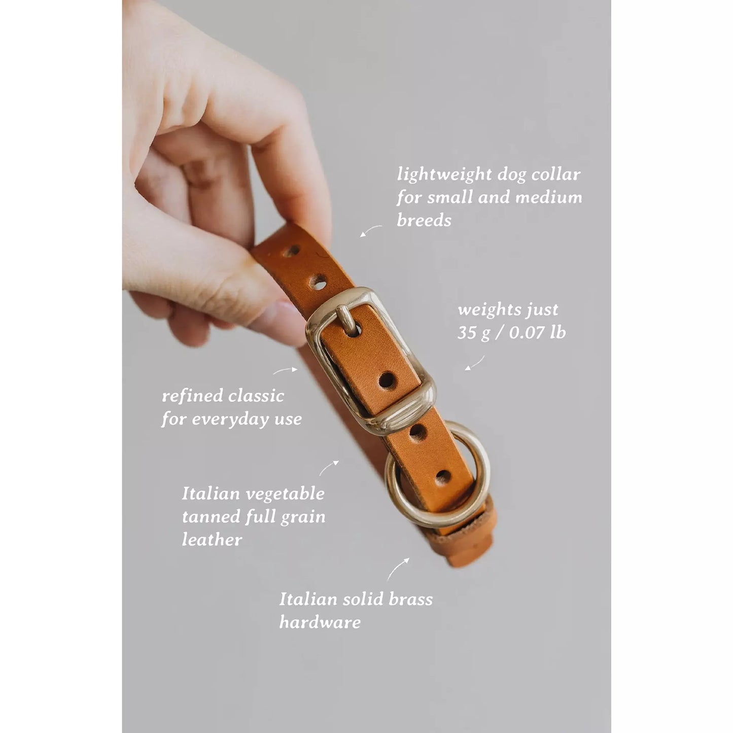 Hundehalsband Fir Air