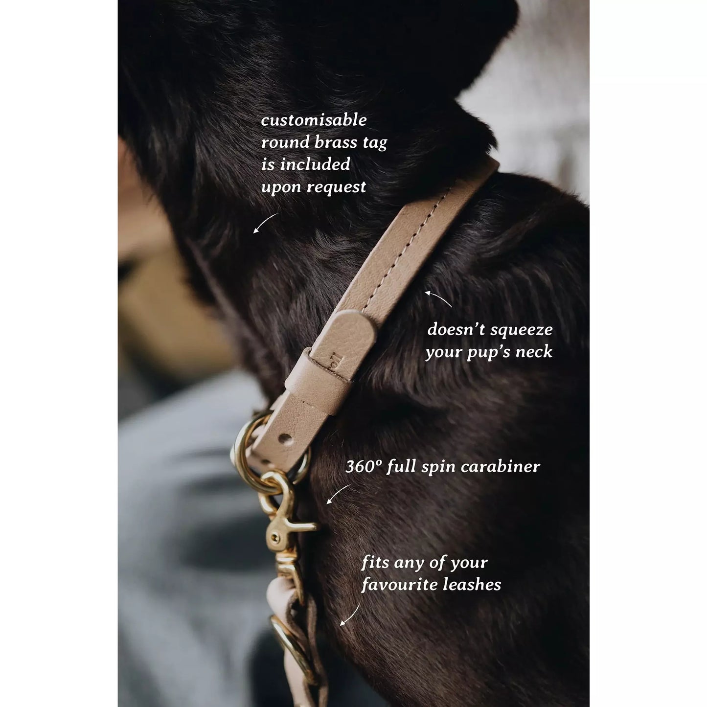 Hundehalsband Fir Air