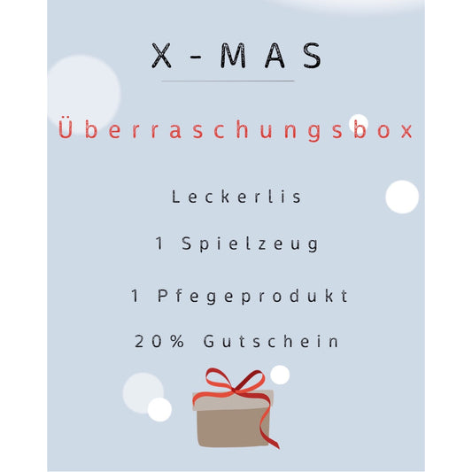 X-mas Überraschungsbox