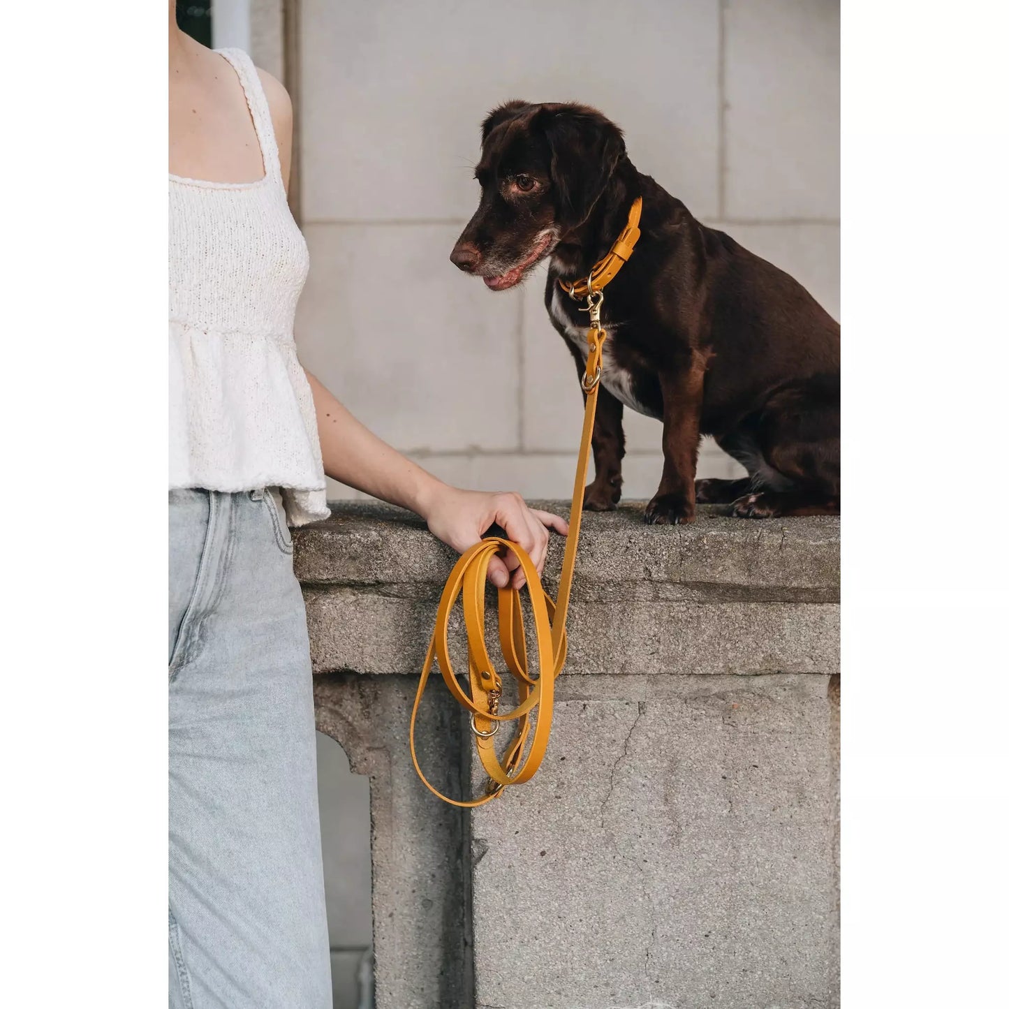 Umhängeleine Lasso Air