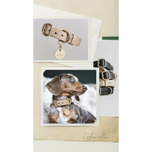 Laden Sie das Bild in den Galerie-Viewer, Hundehalsband Fir