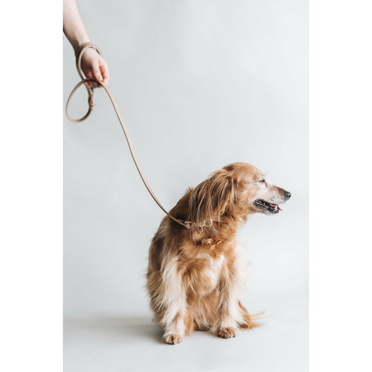 Kurze Lederleine Hitch