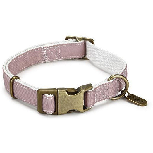 Hundehalsband Virante - Lottes Liebling (Inh. Marion Ots)