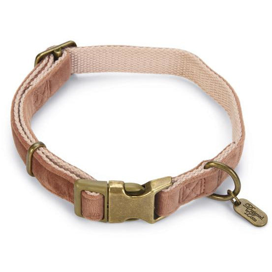 Hundehalsband Velura - Lottes Liebling (Inh. Marion Ots)