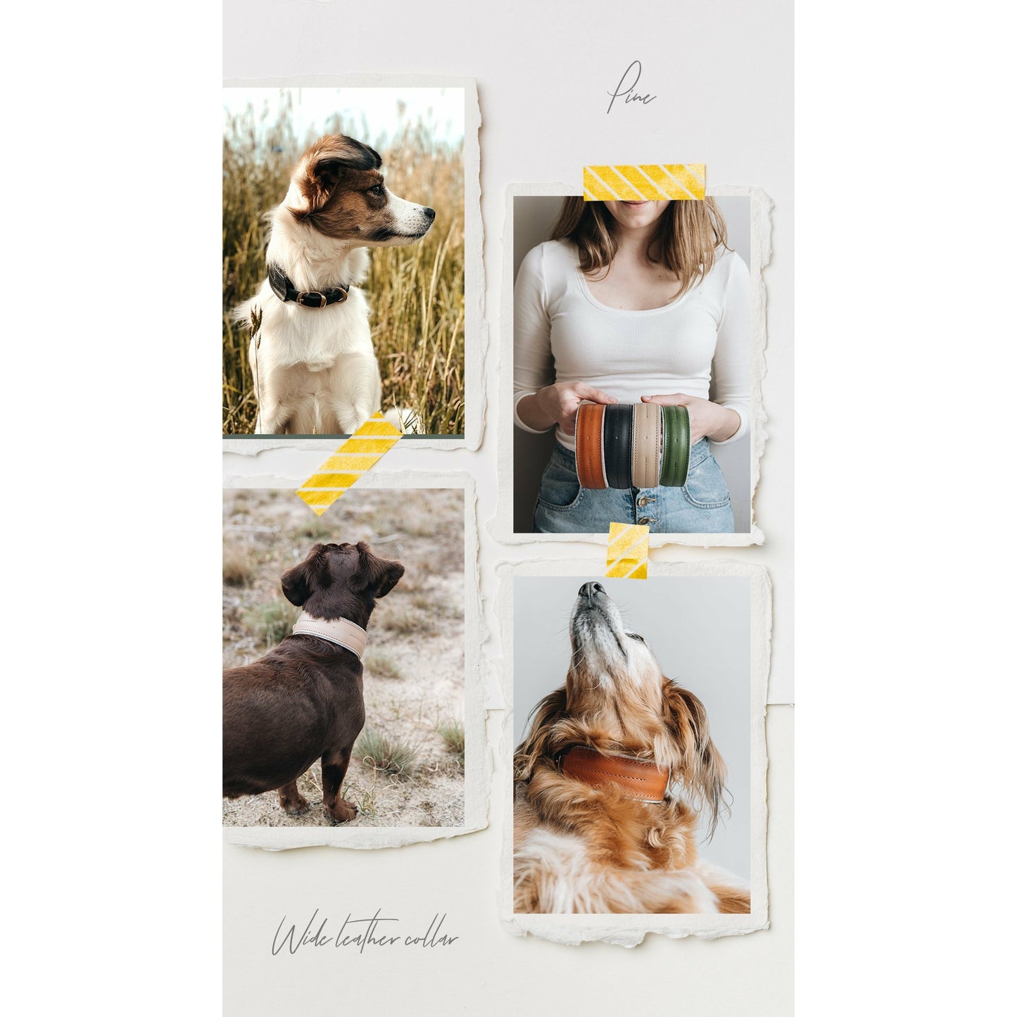 Hundehalsband Pine aus Leder und Wollfilz