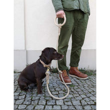 Load image into Gallery viewer, Hanfseil Leine Ash