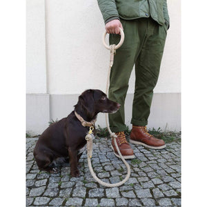 Hanfseil Leine Ash
