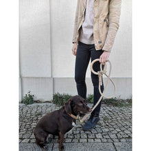Load image into Gallery viewer, Hanfseil Leine Ash