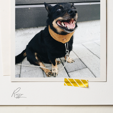Laden Sie das Bild in den Galerie-Viewer, Hunde Bandana Tori