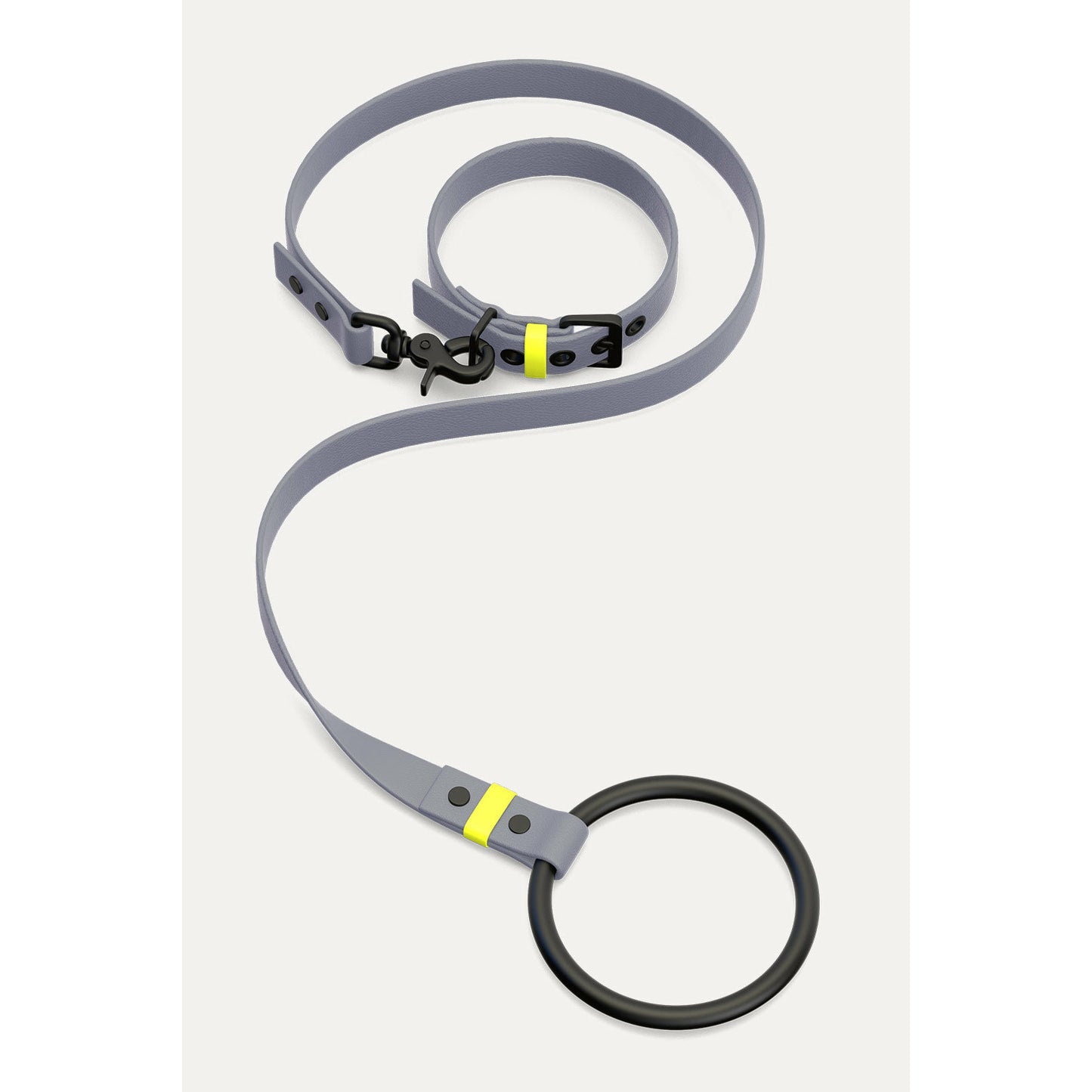 Walking Set S01 pigeon