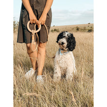 Load image into Gallery viewer, Hanfseil Leine Ash