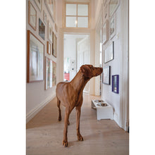 Laden Sie das Bild in den Galerie-Viewer, dogBar® HPL weiß mit Edelstahl - Lottes Liebling (Inh. Marion Ots)