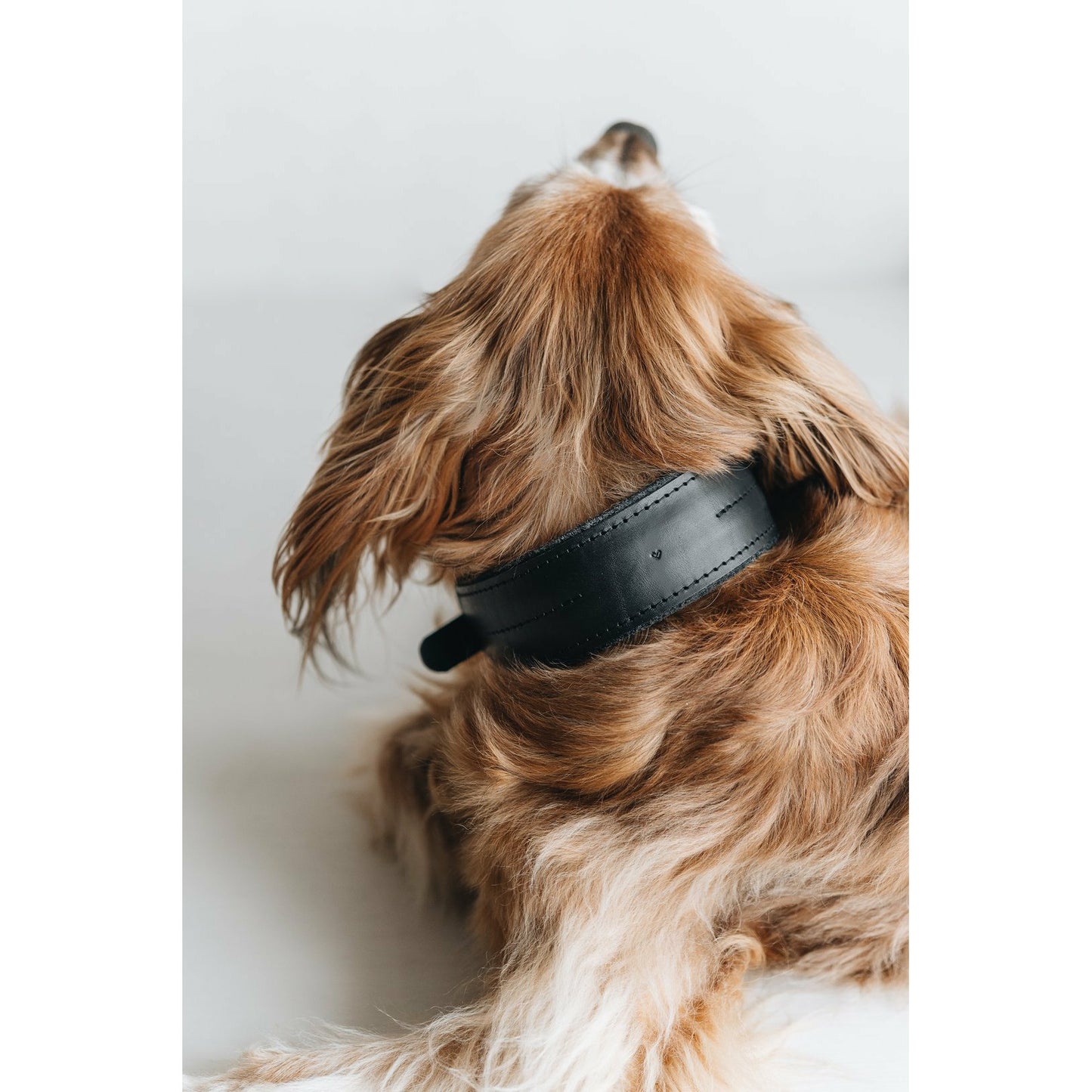 Hundehalsband Pine aus Leder und Wollfilz