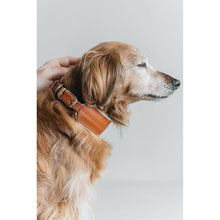 Load image into Gallery viewer, Hundehalsband Pine aus Leder und Wollfilz