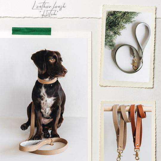 Kurze Lederleine Hitch