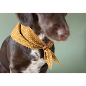 Hunde Bandana Tori