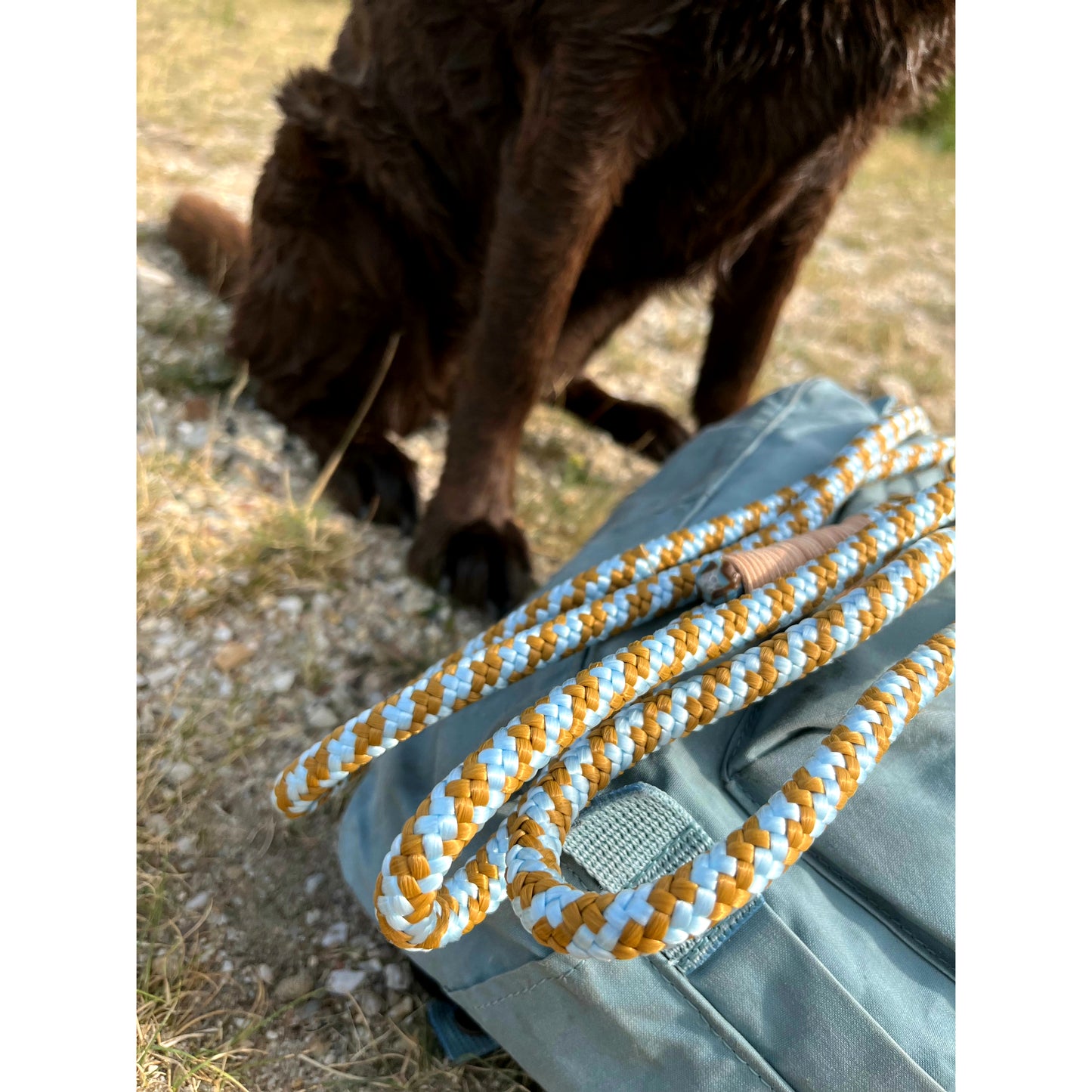 Hundeleine "Caramel"