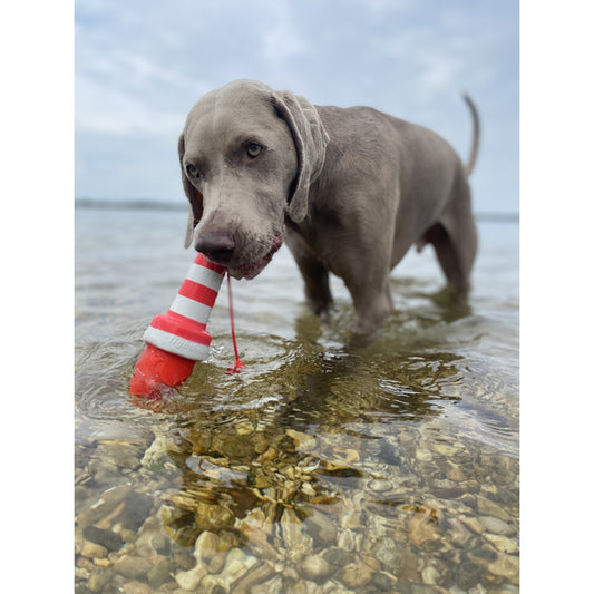 Wasserspielzeug Leuchtturm
