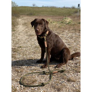 Hundehalsband Olive