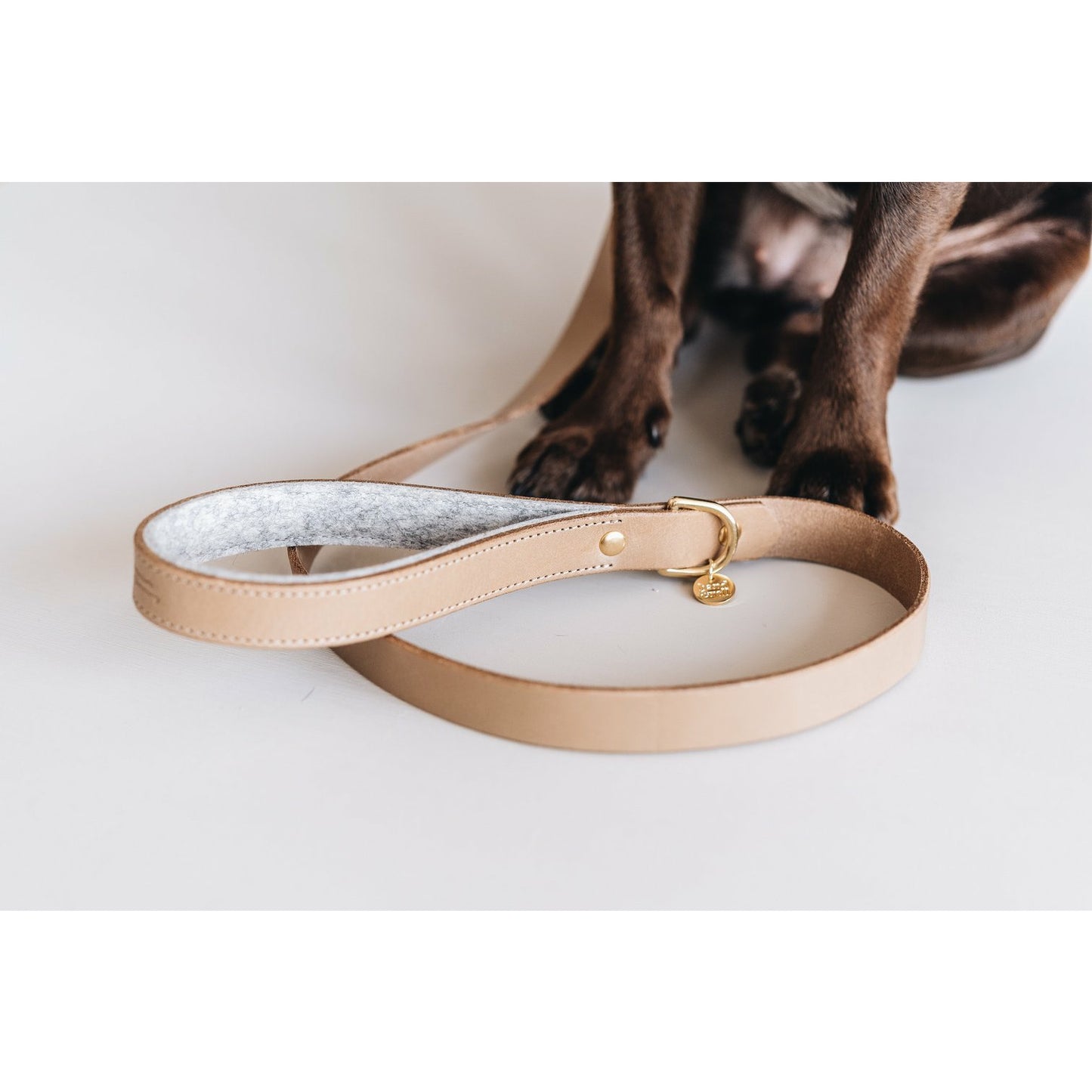 Kurze Lederleine Hitch